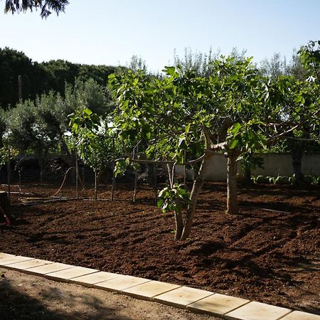 Casina Anna Maria Villa Francavilla Fontana Dış mekan fotoğraf